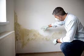 Best Residential Mold Inspection & Testing in Parachute, CO